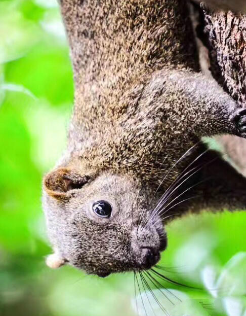 世界因你而美好原唱,世界因你而美好