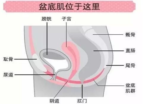 产后如何瘦身最快最有效,产后如何瘦身和下奶