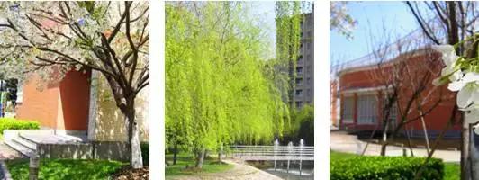 全世界都不能小看昆山，因为他们都来了！