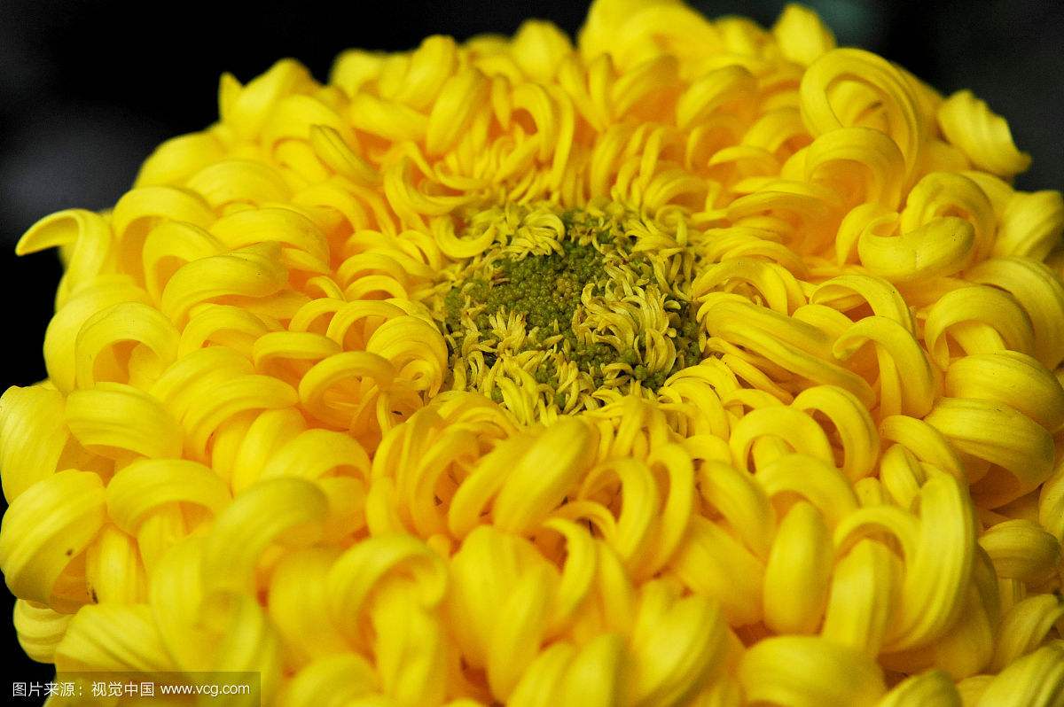 面膜纯手工,面膜自己做的方法如下