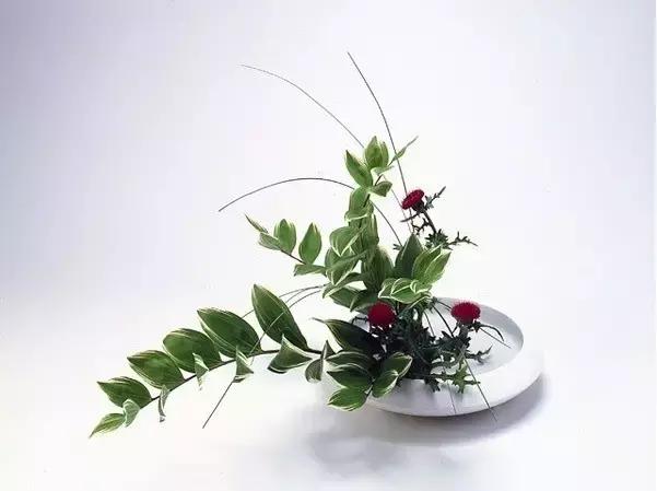 论花艺,不得不服日本