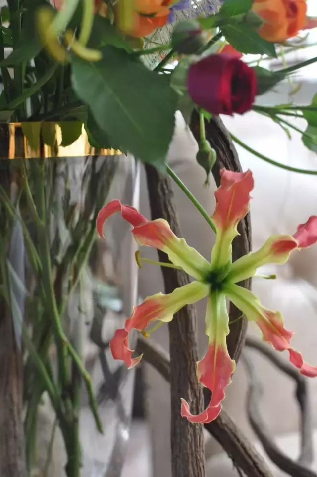 七夕第一次去花店买花应该怎么做,花店七夕节怎么卖花