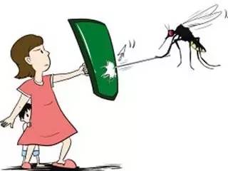 宝宝被蚊子叮咬感染登革热,这几天仅杭州地区就爆发100多病例