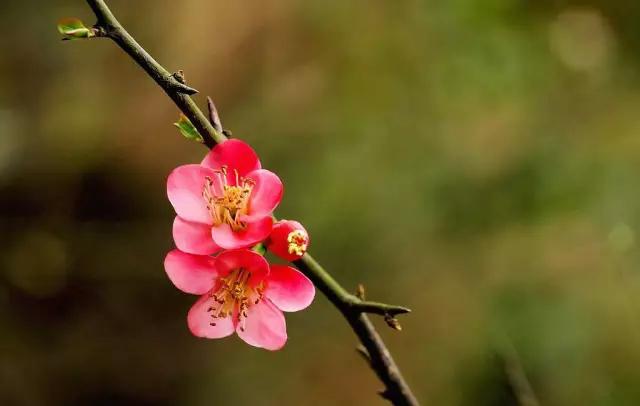 惊！陈武帝宫居然八月梅开
