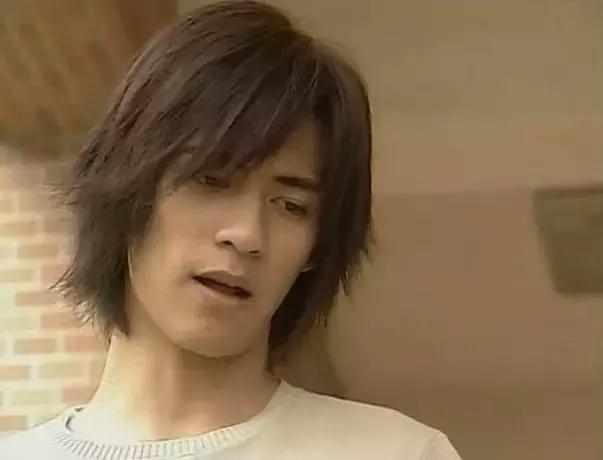 那些年追过的台湾男偶像,台湾偶像组合