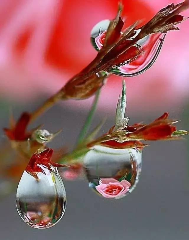 日常生活中的精进修行,每日精进修行