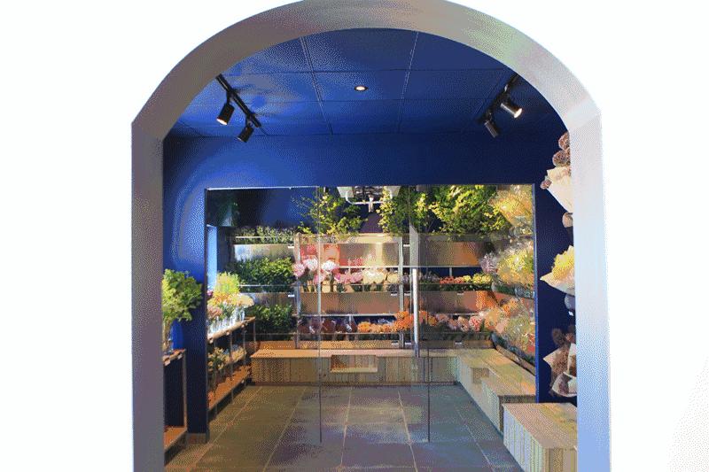 七夕节叫你送花你就去拿吧,微信公众号送花怎么弄