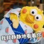 肇庆农村未来发展,广东肇庆农村发展怎么样