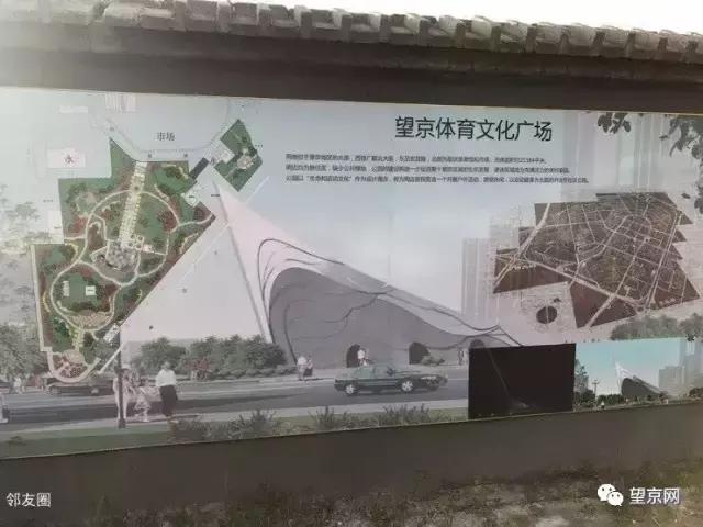 厚积薄发银杏,望京公园和大望京公园哪个好