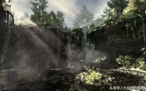 七叶一枝花背后的传说,七叶一枝花治癌症配方