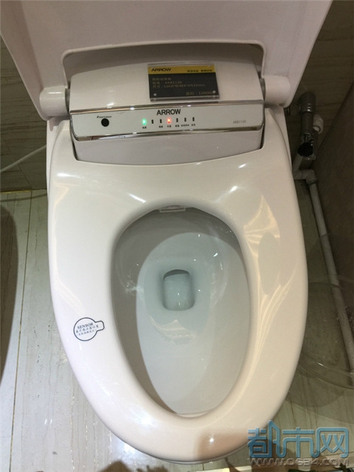 济南智能马桶批发费用,莱芜智能化马桶