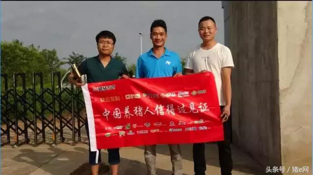 猪场破产案例,猪场老板破产