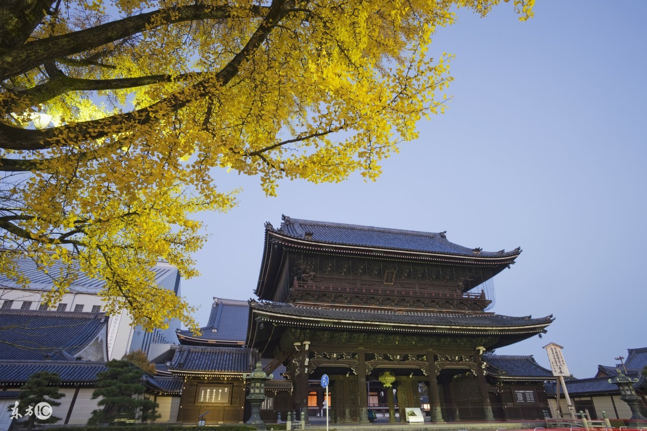 日本的各种奇葩美容院,日本奇葩的美容