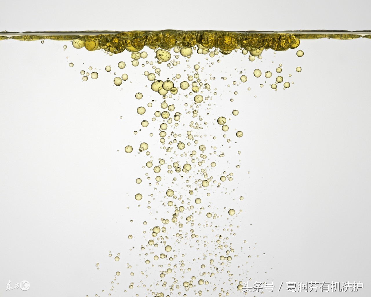 单方精油怎么使用效果最佳,玫瑰精油怎样使用效果最好