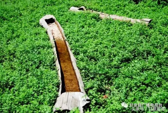 延安甘泉大峡谷桦树沟图片,甘泉雨岔大峡谷桦树沟玩多长时间