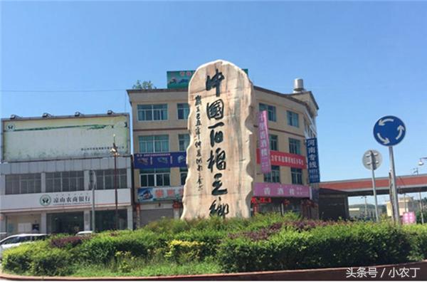 正宗突尼斯软籽石榴10斤新鲜当季,送礼必备佳品突尼斯软籽石榴