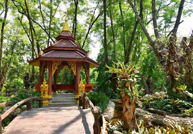 去西双版纳旅游吃住行攻略,去西双版纳旅行自由行攻略