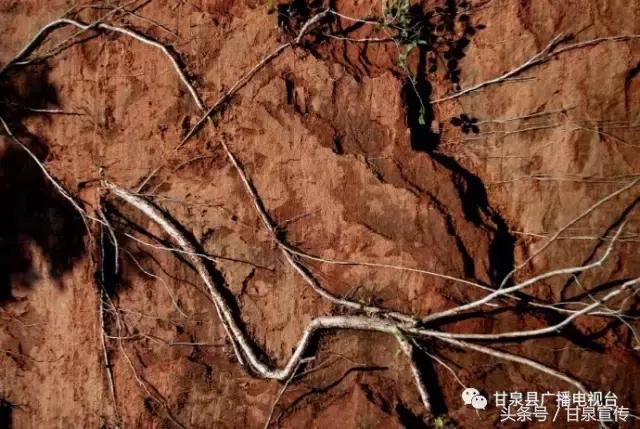 延安甘泉大峡谷桦树沟图片,甘泉雨岔大峡谷桦树沟玩多长时间