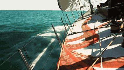 爱上邮轮的十个理由,爱上潜水的理由