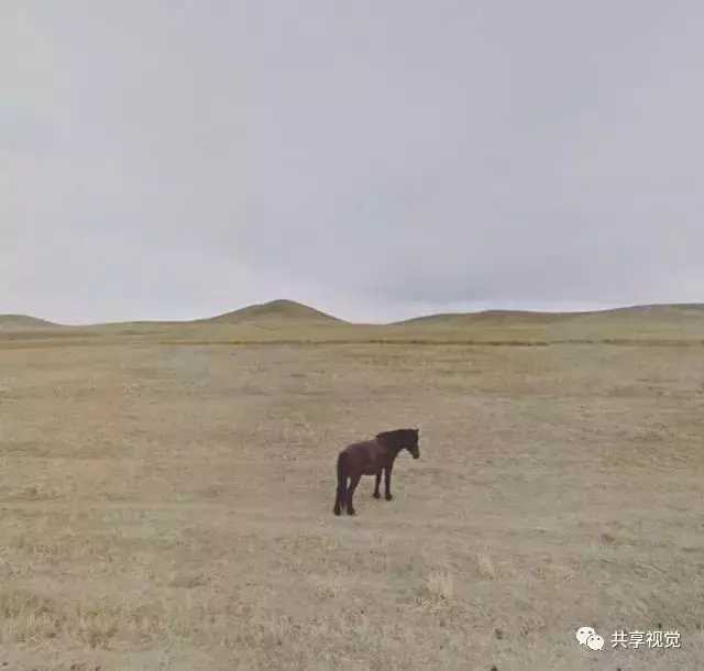 google街景照片怎么拍,谷歌地图摄影作品