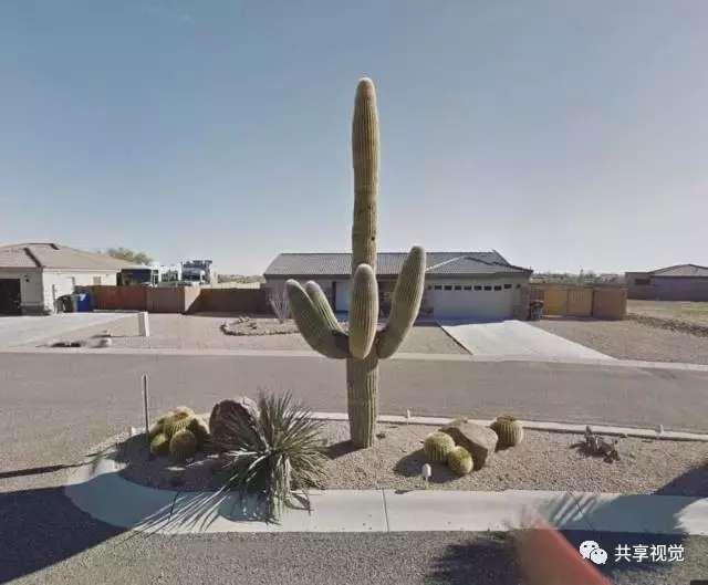 google街景照片怎么拍,谷歌地图摄影作品