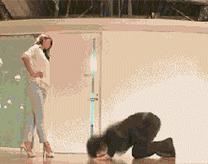 日本网红表情包懒蛋蛋开了家咖啡馆，里面的日料都是假的