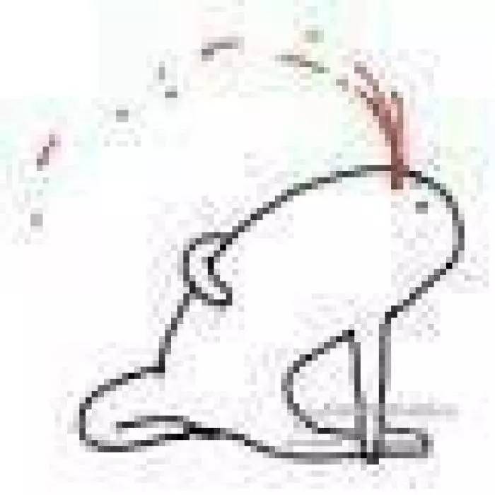 骑士与凯尔特人交易欧文,骑士凯尔特人交易欧文