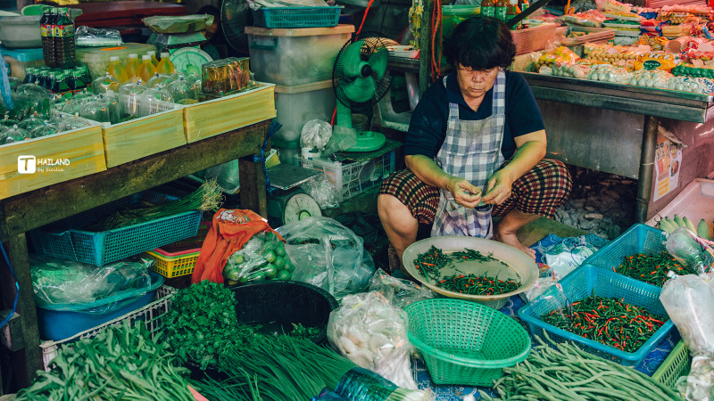 带你一起去泰国看海,回忆那年在泰国踏浪看海