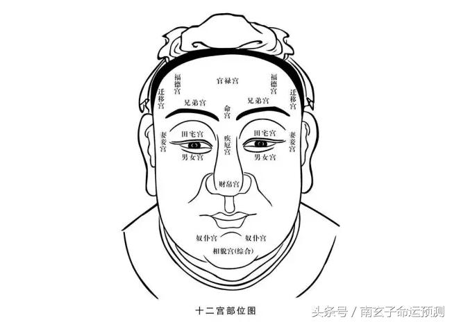 脸上有痣男人面相图解,女人面相鼻子上有痣好不好