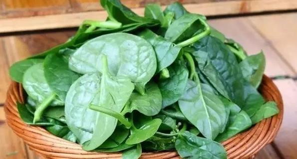 淡水龟吃什么食物,龟吃什么食物好