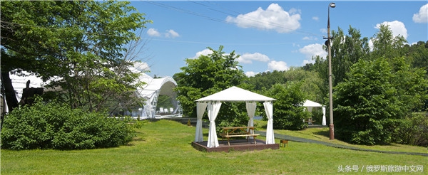 俄罗斯烤肉视频大全,俄罗斯烤肉大串