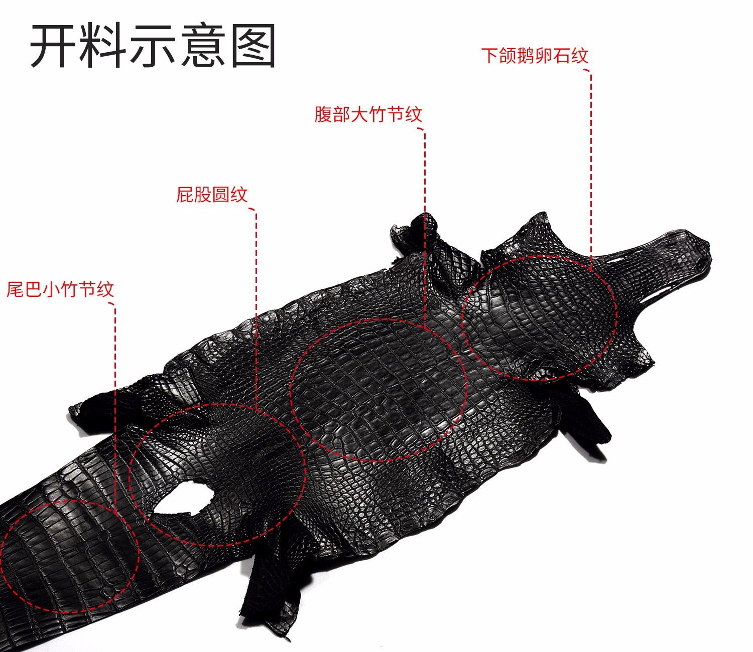 看起来差不多价格相差甚远,各类鳄鱼皮的价位