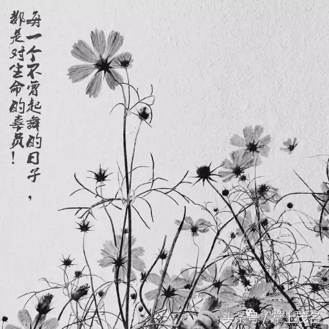 手机摄影田园生活图片,手机摄影主题