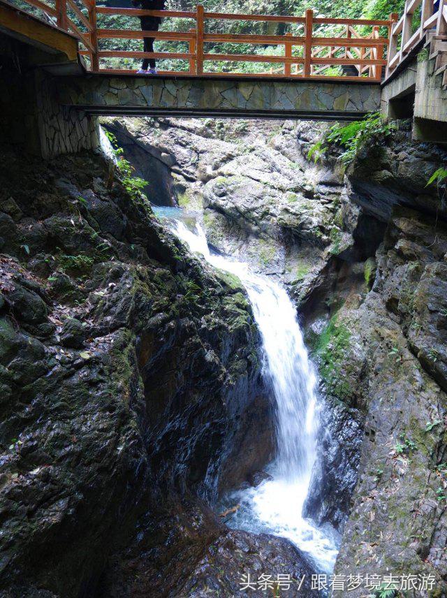 重庆最美黑山谷景区,重庆万盛黑山谷旅游如何