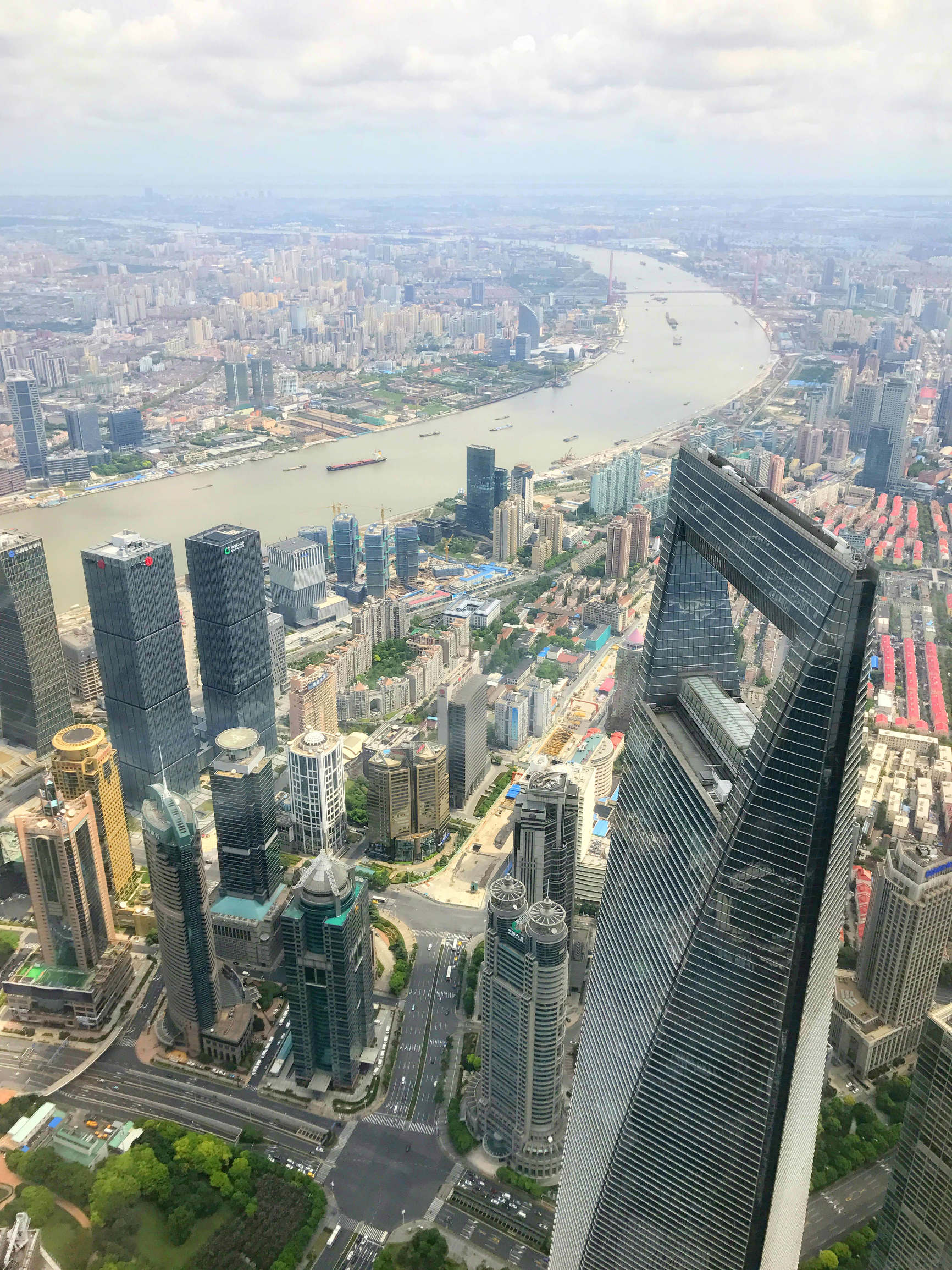 巴西罗德里格斯,巴西队员罗德里格斯