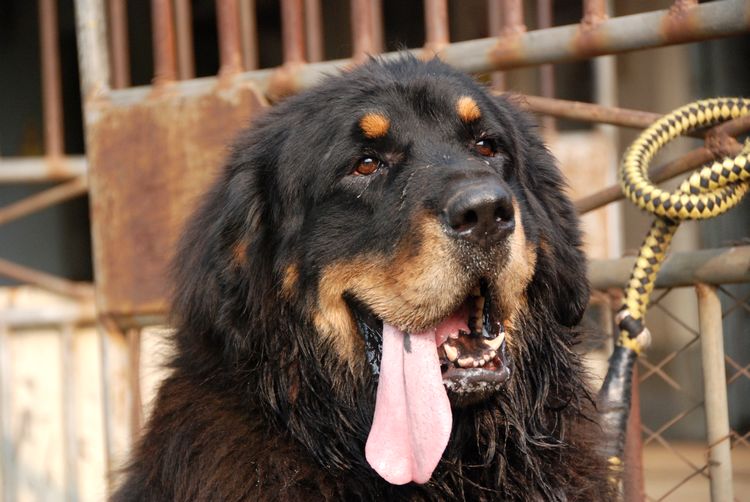 陈荣华北海,北海人的一天