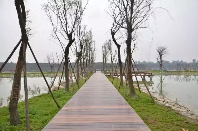 成都赏红叶的公园,成都赏秋色最好的地方