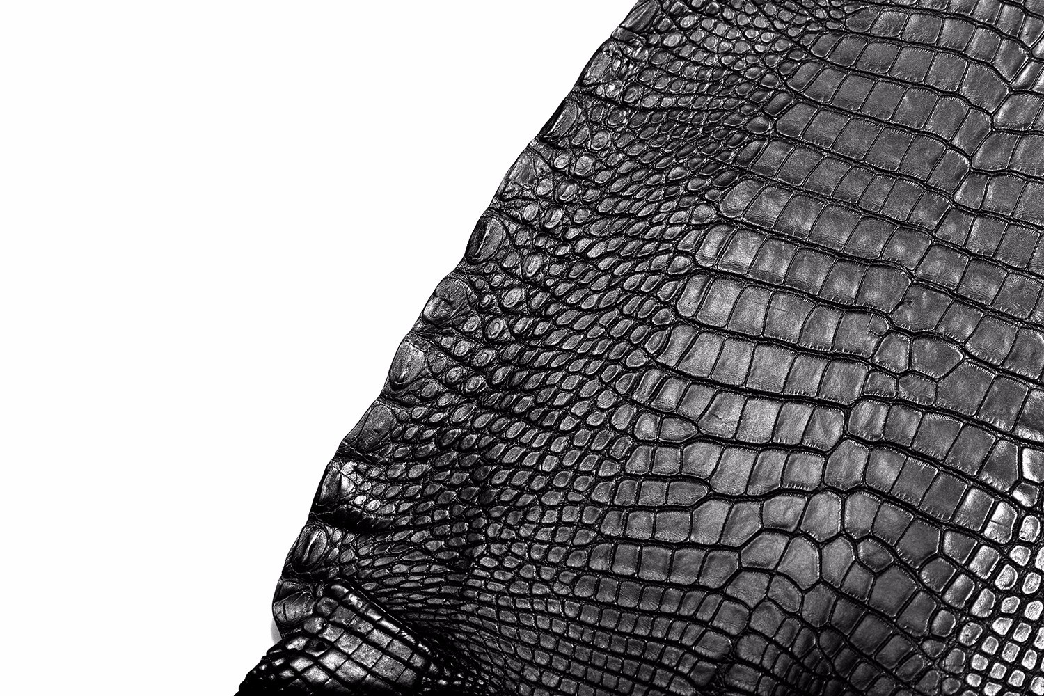 看起来差不多价格相差甚远,各类鳄鱼皮的价位