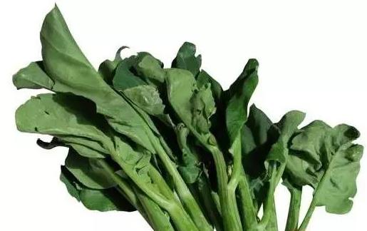 淡水龟吃什么食物,龟吃什么食物好