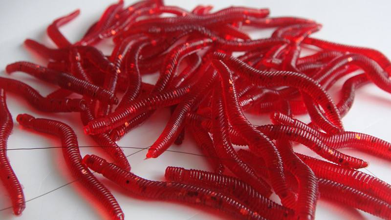 钓鱼用的红虫有危害吗？用这个方法处理准放心