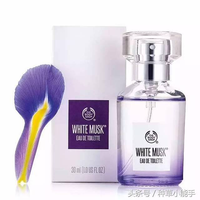 这5款堪比大牌的平价香水,推荐一款非常好用的大牌香水