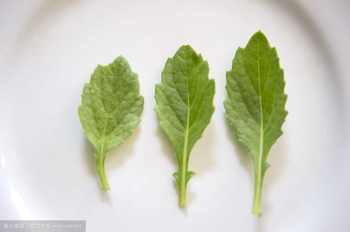 孕妇感冒牙痛耳心痛怎么办,怀孕晚期牙疼偏方