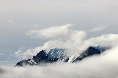 每日小科普有趣的冷知识分享,超有趣的冷知识你绝对不知道