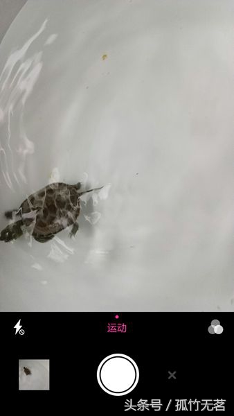 鏈靛敮l520鍙傛暟,鏈靛敮l520鎵嬫満璇勬祴