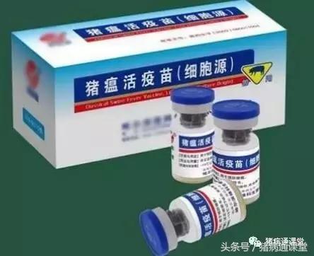 猪瘟怎么防治,猪瘟如何治疗