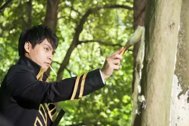 银魂玩柯南的梗,银魂玩梗索隆