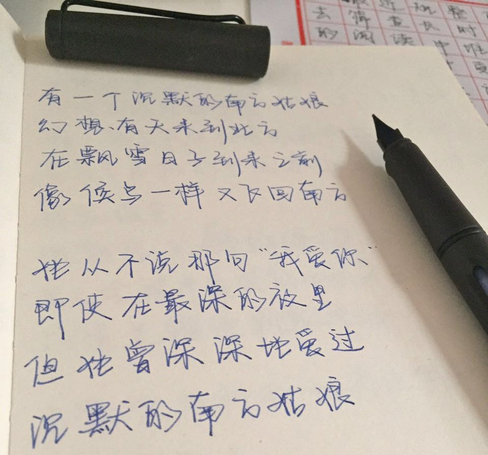 有什么推荐的钢笔,又好看又好用的钢笔推荐