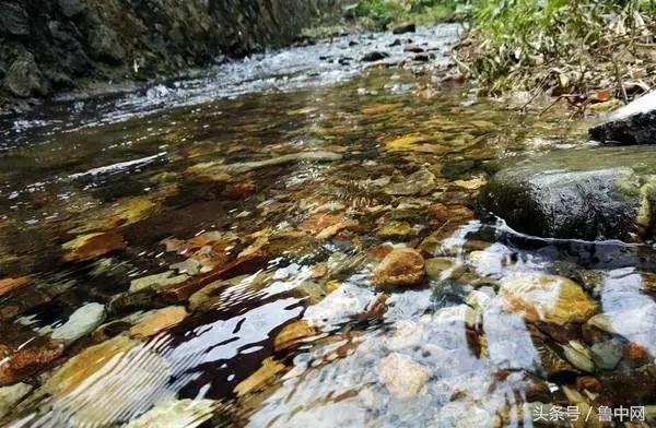 为什么要定居,为什么定居淄博