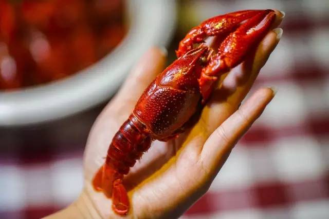 小龙虾的各种口味的做法,广东小龙虾的正确吃法