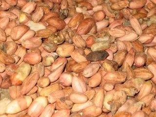 高温能不能消灭癌细胞,高温杀不死的致癌物质